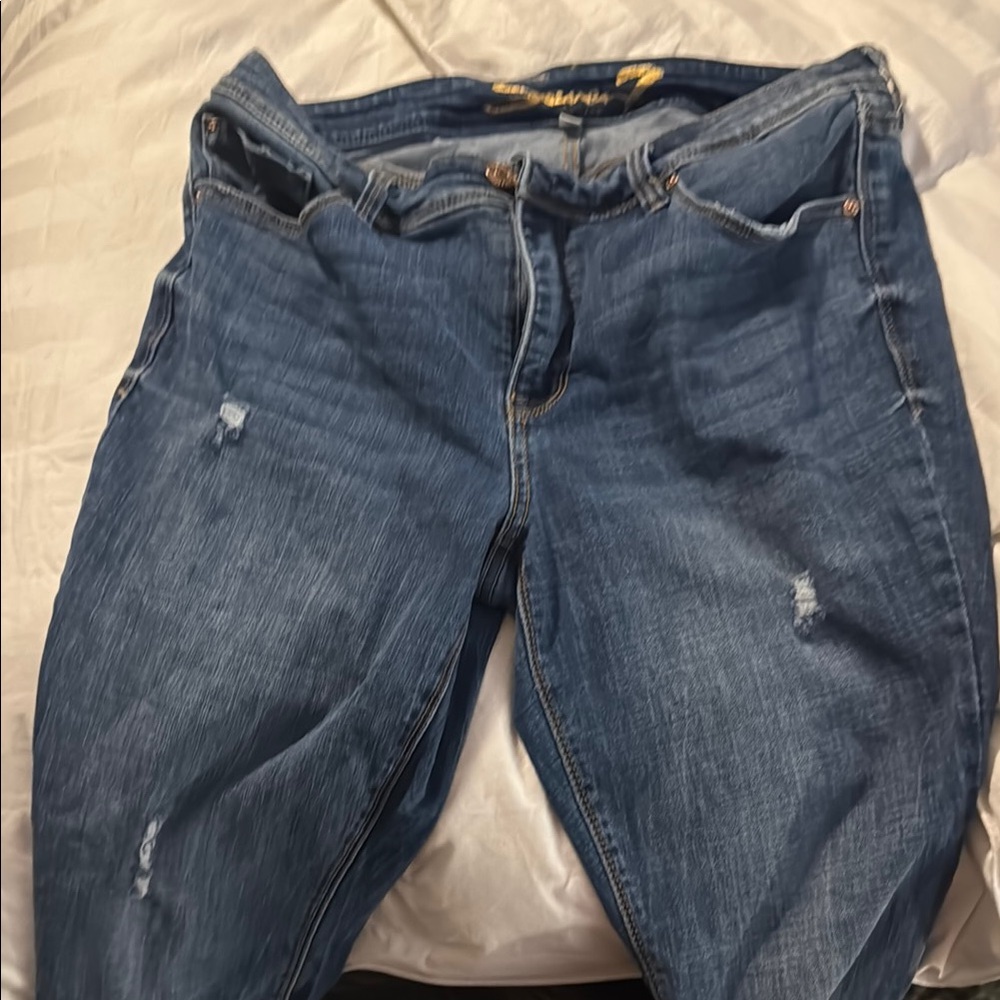 Lane Bryant Seven Stylish Blue Jeans for Women 14W